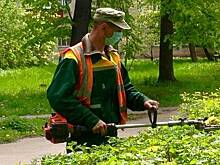 В Чувашии на неплохо оплачиваемые общественные работы отправят 5 тысяч безработных