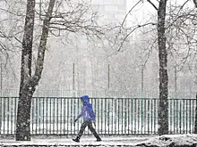 Синоптик исключил «привычную зимнюю погоду» в начале декабря