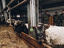 Представителям КМНС в Якутии могут запретить охотиться на своей земле