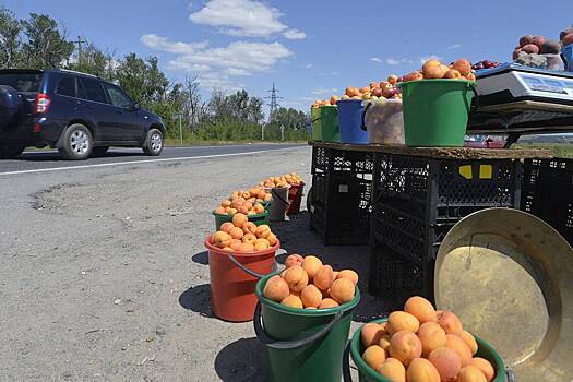 Россиян предупредили об опасных для здоровья фруктах и ягодах