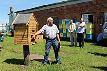Тамбовские пчеловоды обсудили развитие отрасли