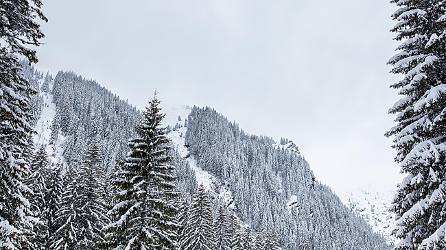 В местности, где исчезли Усольцевы, ведутся поиски пропавшего мужчины