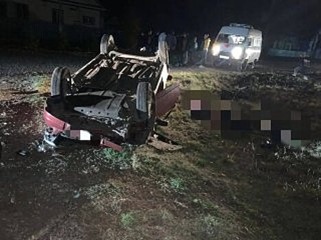 В Башкирии водитель легковой машины сбил насмерть двух пешеходов