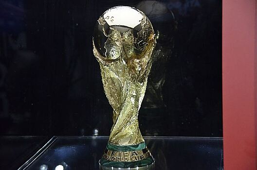 Кубок чемпионата мира был выставлен в тульском кремле