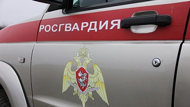 В Пензе росгвардейцы не дали автомобилю сгореть
