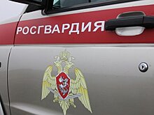 В Пензе росгвардейцы не дали автомобилю сгореть