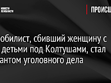Автомобилист, сбивший женщину с тремя детьми под Колтушами, стал фигурантом уголовного дела