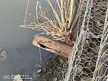 Нечистоты черного цвета сливали в реку Псахе в Сочи