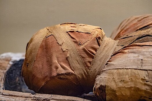 Современная болезнь найдена в 500-летних мумиях