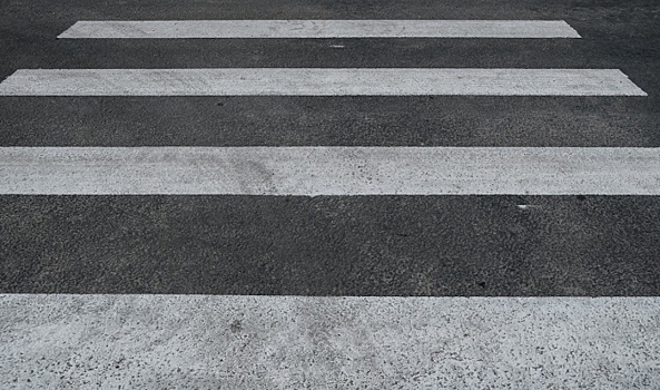 В Волгограде состоялась профилактическая акция для юных пешеходов