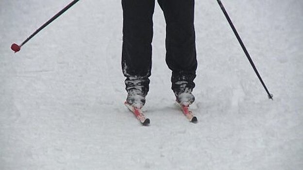 Пензенцу ответили, процветает ли горнолыжный курорт В. Бочкарева