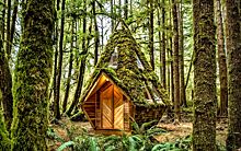 Автономный лесной домик 15 м , построенный из вторичных материалов с наружной отделкой из мха