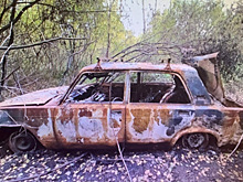 В Кольчугинском районе угнали автомобиль и подожгли в лесу