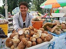Осторожно, грибы! Не все дары леса одинаково полезны