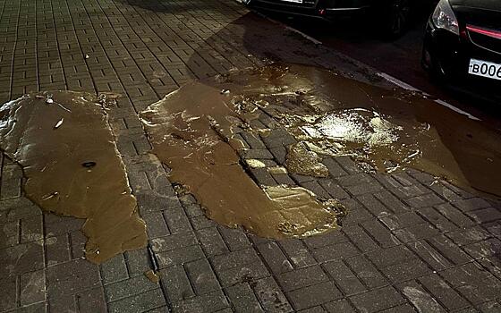 В центре Рязани плитка вздулась от смердящей жижи