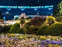 В Новосибирске назвали условия для возобновления работы зоопарка