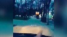 Водитель за рулем автомобиля устроил езду без правил по аллее в Новороссийске
