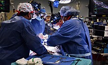 Хирурги впервые пересадили генетически модифицированное свиное сердце человеку