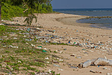 Пандемия увеличила глобальное потребление пластика