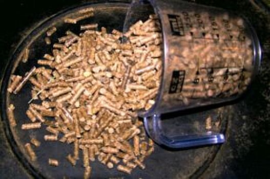 В Барнауле исследуют белки животного происхождения в комбикормах