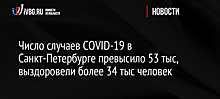 Число случаев COVID-19 в Санкт-Петербурге превысило 53 тыс, выздоровели более 34 тыс человек