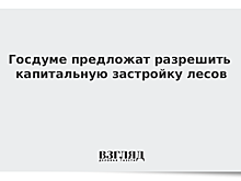Госдуме предложат разрешить капитальную застройку лесов