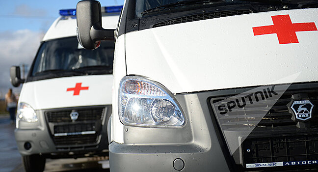 ДТП с верблюдом: под Алматы погибло пять человек