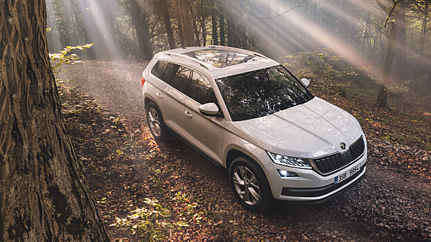 Названо количество купленных россиянами Skoda Kodiaq