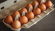 Эксперт Остапкович объяснил, не опасно ли покупать яйца из Турции и Белоруссии