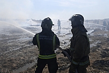 Названо число пострадавших от пожаров в Красноярском крае
