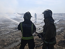 Названо число пострадавших от пожаров в Красноярском крае