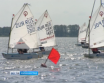 В Калининграде проходит открытое первенство города по парусному спорту
