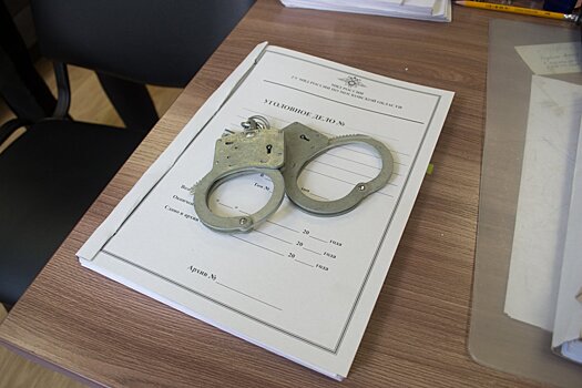 Экс-начальника полиции подмосковного Чехова Большакова приговорили к 7,3 года колонии