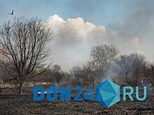 В Ростове отменили сегодняшнее выжигание сорной травы