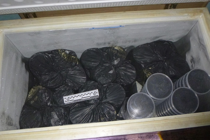 Россиянин нашел на берегу реки свыше 300 банок черной икры