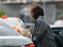 Торнадо и сильный ветер будут чаще появляться летом в Москве