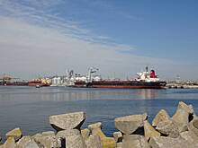 В России оценили помощь НАТО Украине в разблокировке зернового коридора