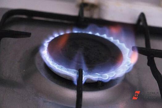 В Челябинской области проведут газ еще в 16 населенных пунктов