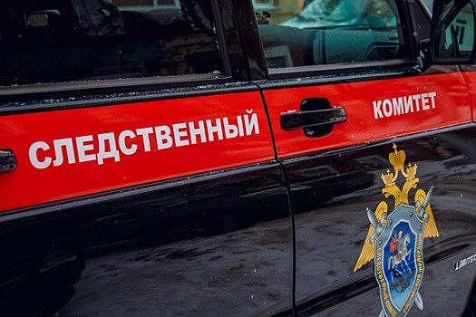 Более тысячи уголовных дел в Приморье возбудил СК за полгода