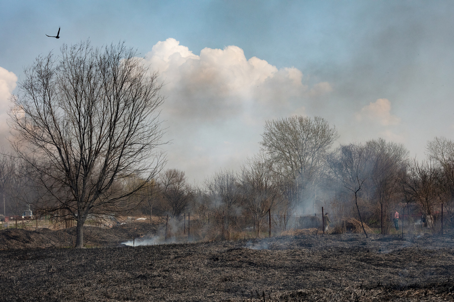 В Ростове горит мусор в Соловьиной роще