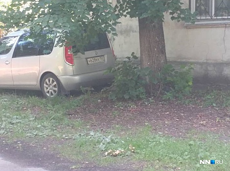 Парковка на газонах Нижнего Новгорода. Выясняем, куда жаловаться на нарушителей