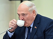 «Досвидос»: Лукашенко высказался об уходе западных компаний