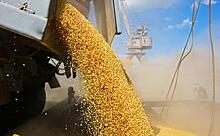 Зерновая сделка: 60 дней, которые ничего не решат