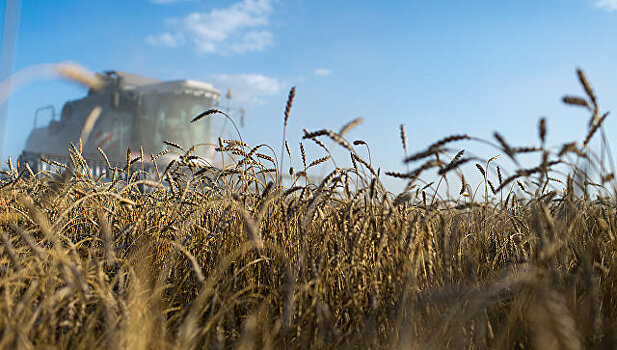 Россия начнет поставку пшеницы в Венесуэлу