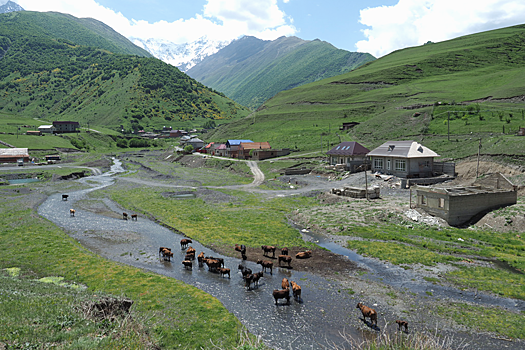 В Старой Санибе откроют новую гостиницу