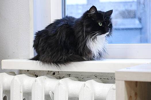 В Белгороде восстановили подачу тепла после атаки ВСУ