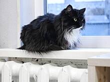 В Белгороде восстановили подачу тепла после атаки ВСУ