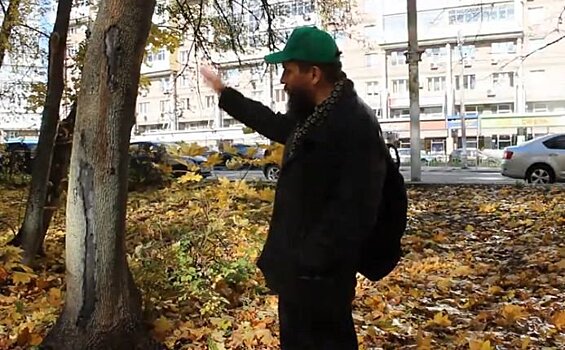 Подрядчик повредил деревья при благоустройстве парка Пушкина
