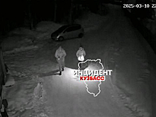 До 100 "закладок" в день: кемеровчане сообщили о многочисленных наркокурьерах в двух СНТ