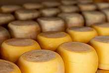 «Молвест» инвестирует 400 млн рублей в расширение производство сыров